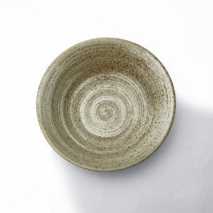 Japanese Udon Ramen Bowl