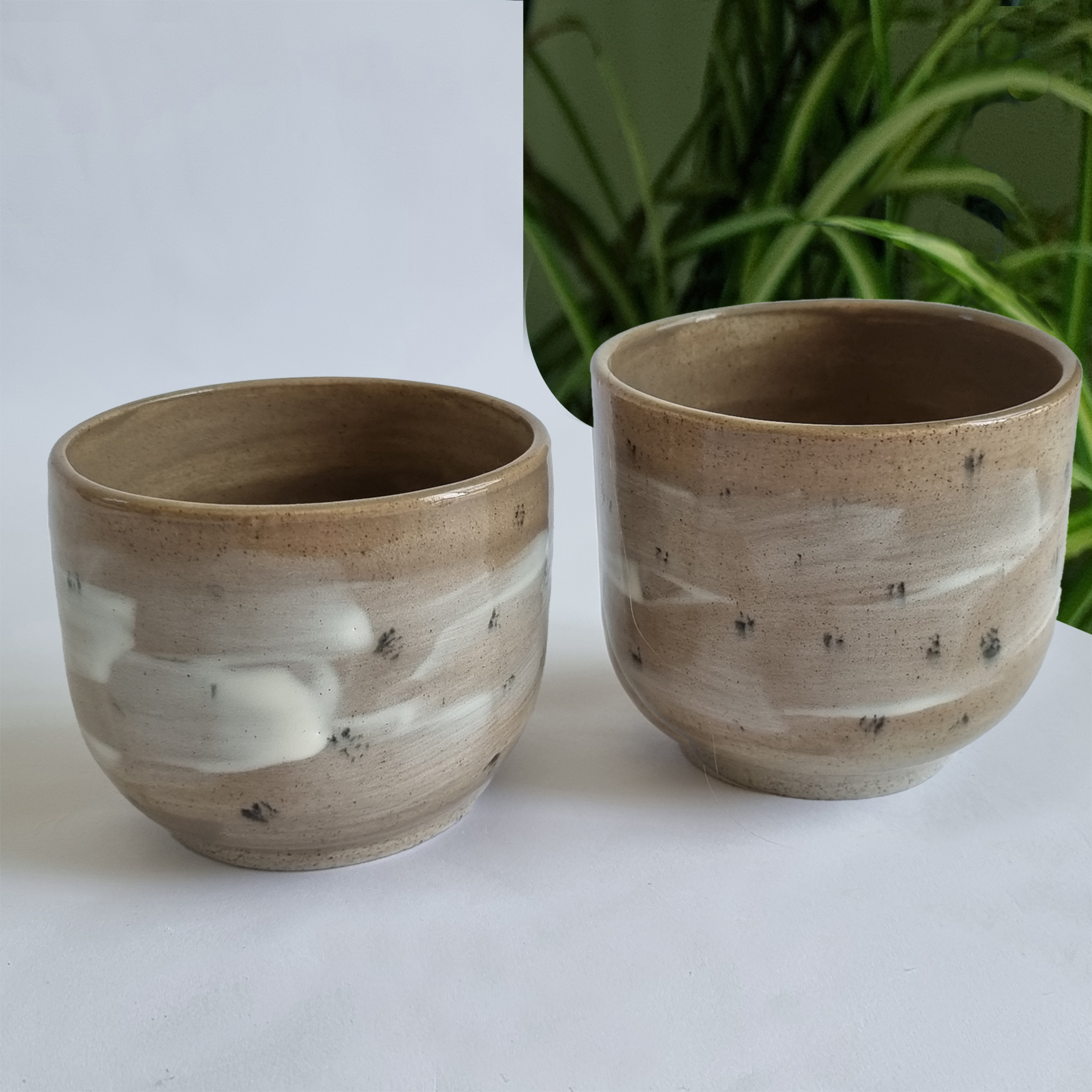 Japanese Green Tea Cups